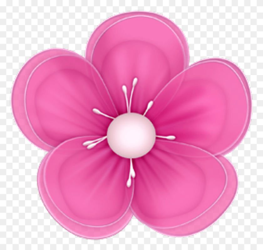 895x848 Flor Rosa Pink Nature Beautiful Flowers Clipart, Plant, Flower, Blossom HD PNG Download
