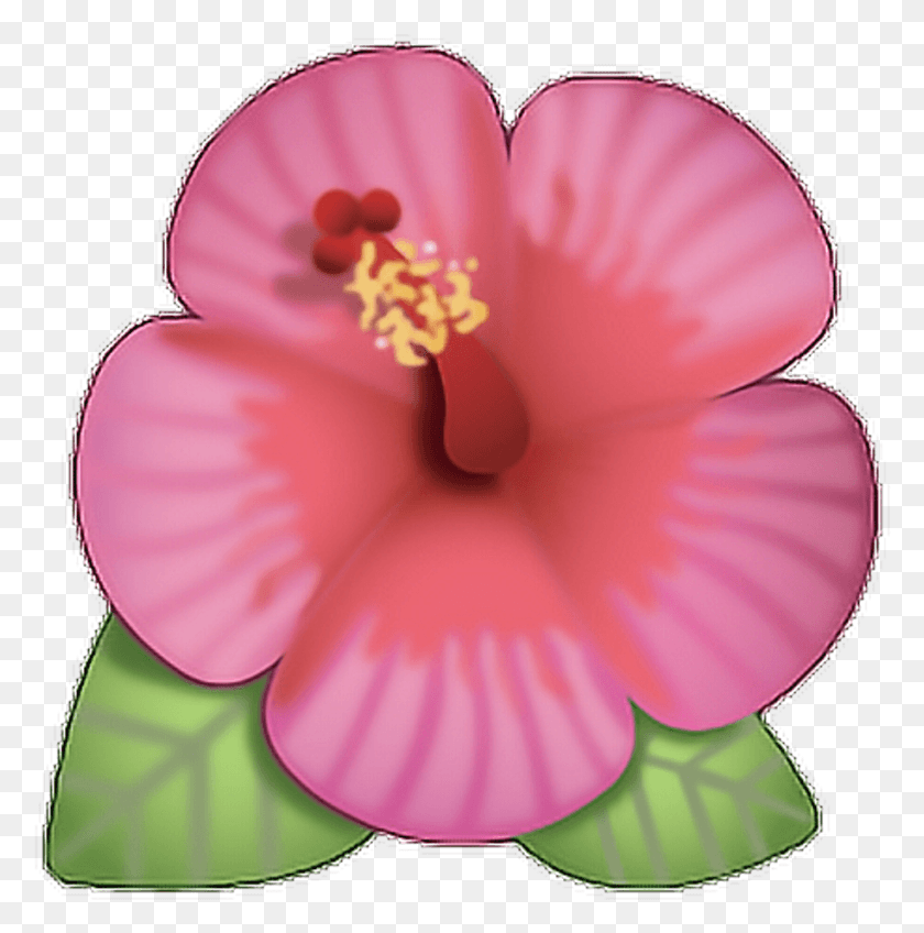 916x926 Flor Sticker Flower Emoji With Transparent Background, Plant, Hibiscus, Blossom HD PNG Download