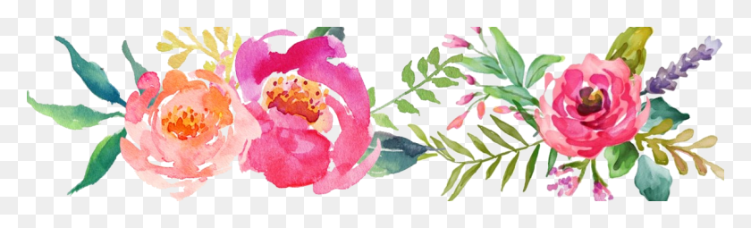 1200x300 Флора Акварельный Логотип Цветочный Дизайн, Растение, Лепесток, Цветение Hd Png Скачать