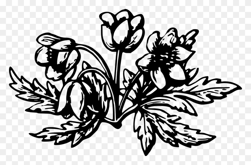1280x810 Флора Цветочный Цветок Лист Листовое Изображение Тюльпан, Серый, Мир Варкрафта Png Скачать