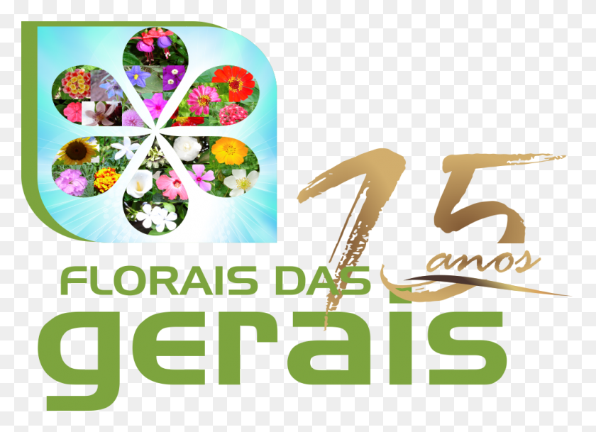 1000x705 Florais Das Gerais Orchid, Text, Graphics HD PNG Download