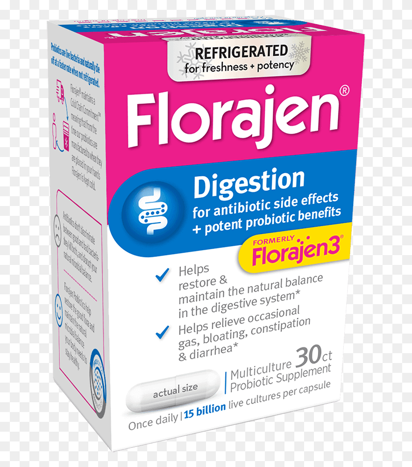 650x892 Florajen Digestion, Flyer, Poster, Paper HD PNG Download