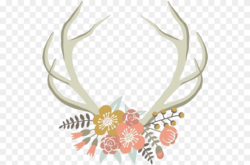 558x554 Floral Antler Clip Art Cartoons, Animal, Kangaroo, Mammal Sticker PNG