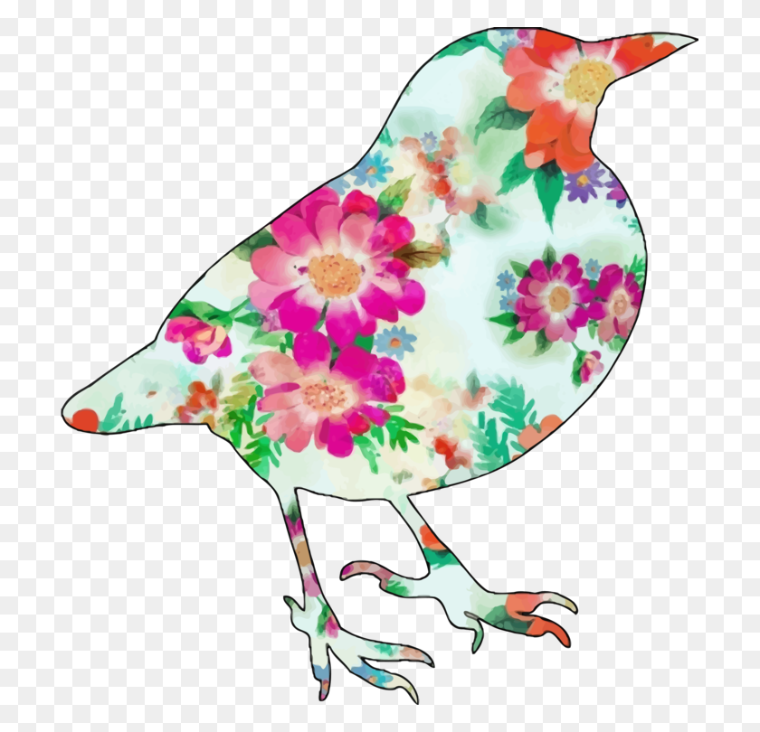 705x750 Floral Design Bird Drawing Watercolor Painting Design, Clothing, Apparel, Graphics Descargar Hd Png