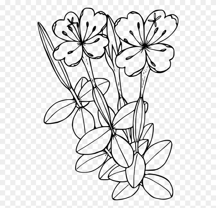 548x749 Floral Design Wildflower Flowering Plant Flower Coloring Pages, Gray, World Of Warcraft HD PNG Download