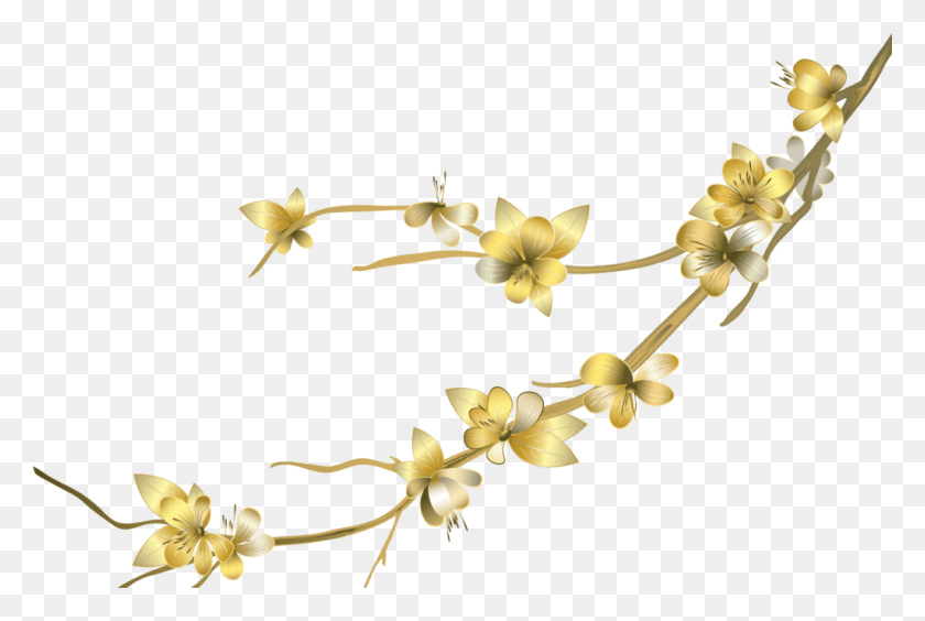 1024x662 Floral Free, Plant, Flower, Blossom Descargar Hd Png