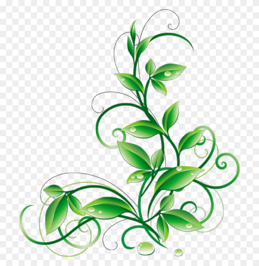 714x800 Floral Green Leaves And Water Droplets Clipart Green Color Flower, Graphics, Floral Design HD PNG Download