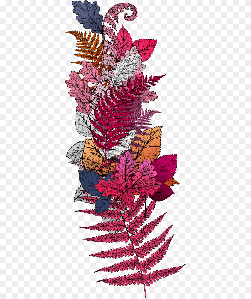 Floral Ornament Illustration, Leaf, Pattern, Plant, Fern Clipart PNG