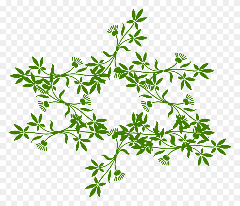 1280x1083 Цветочный Орнамент Звездный Ворон Цикл Цитаты Смешные, Зеленый, Лист, Растение Hd Png Скачать