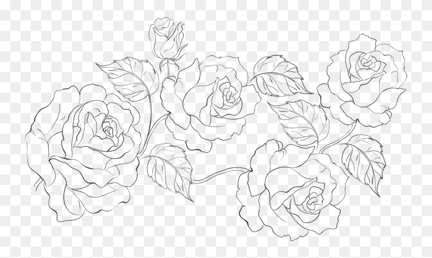 749x442 Floral Pattern Line Art, Lace, Rug, Stencil HD PNG Download