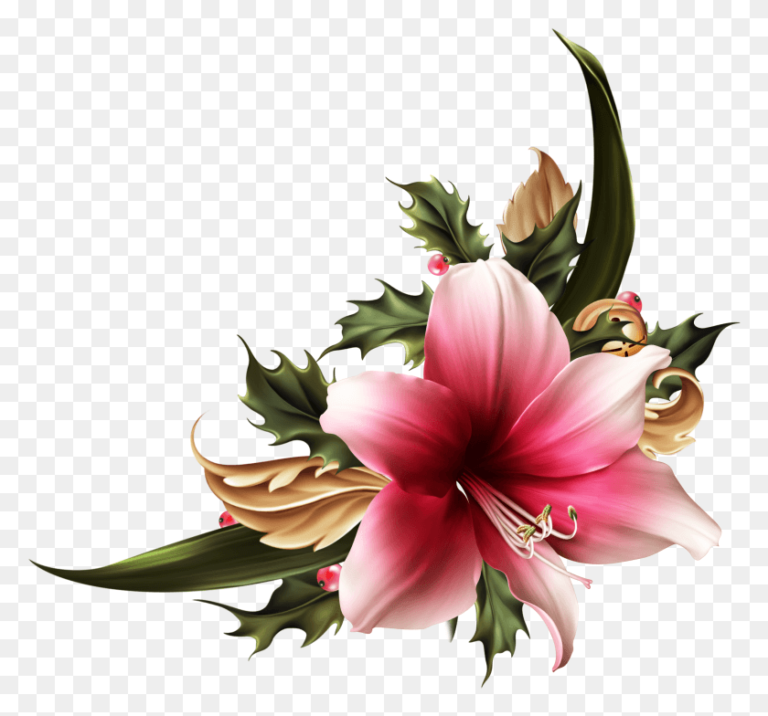 2107x1958 Florals Lily, Plant, Flower, Blossom HD PNG Download