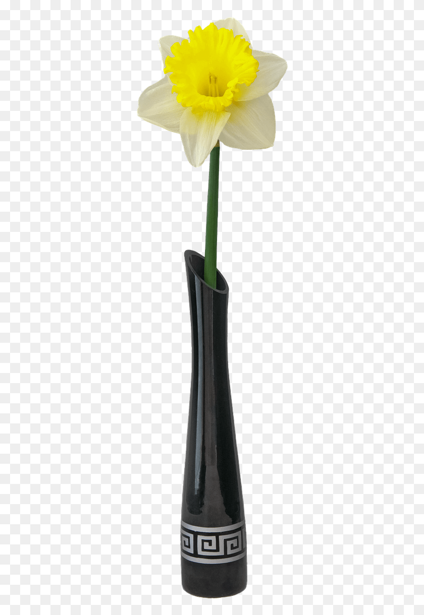 304x1160 Флореро Кон Уна Флор, Растение, Цветок, Цветение Hd Png Скачать