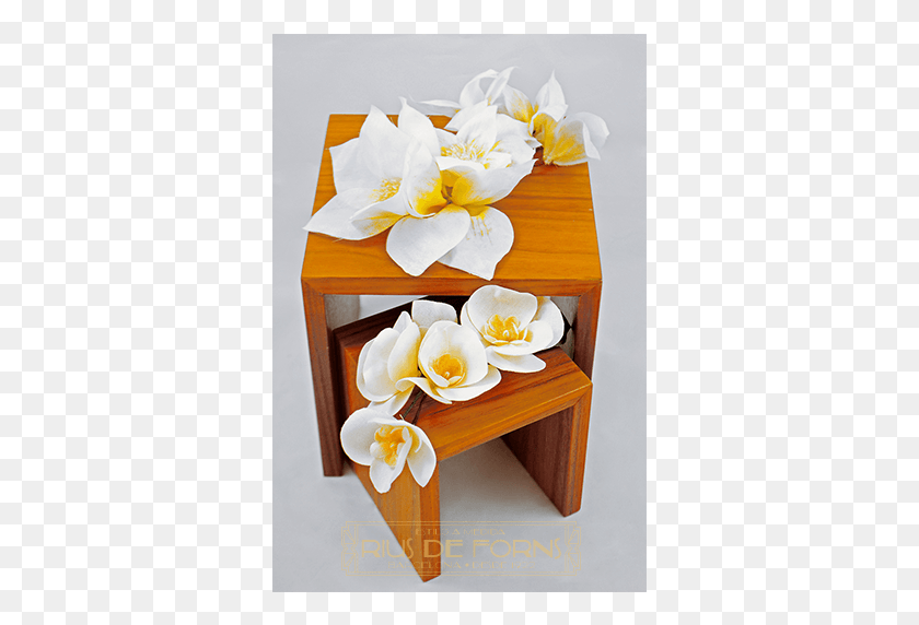 343x512 Flores Blancas Con Destellos Amarillos Moth Orchid, Tabletop, Furniture, Plant HD PNG Download