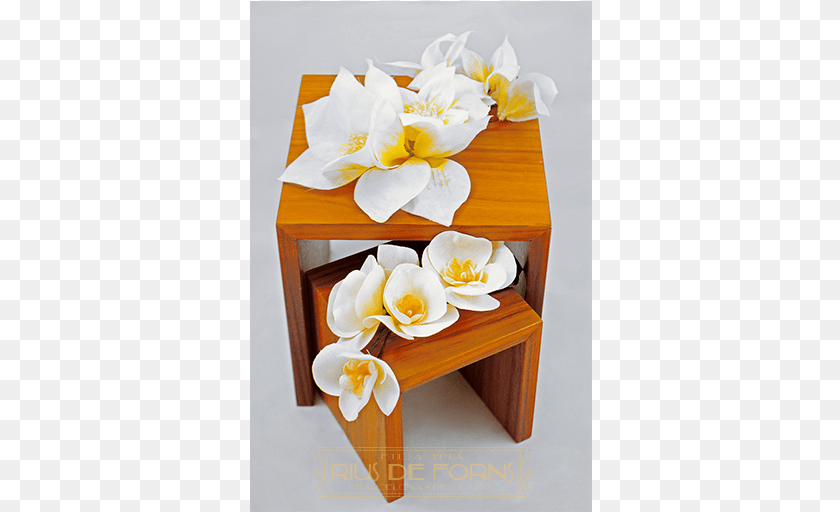 343x512 Flores Blancas Con Destellos Amarillos White, Coffee Table, Table, Plant, Furniture Transparent PNG