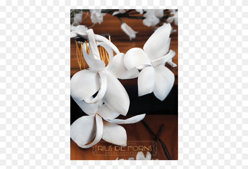 366x512 Flores Blancas Para Tocado Png / Flores Blancas Para Tocado Hd Png
