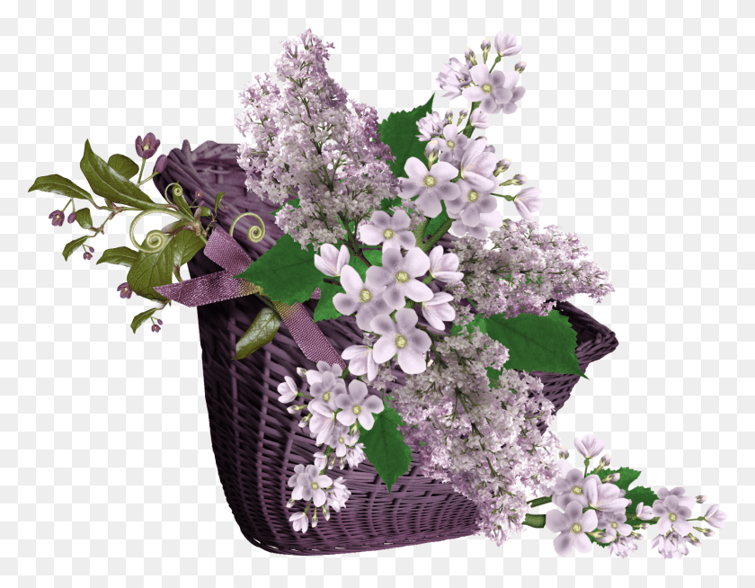 1705x1299 Флорес Букет, Растение, Цветок, Цветение Hd Png Скачать