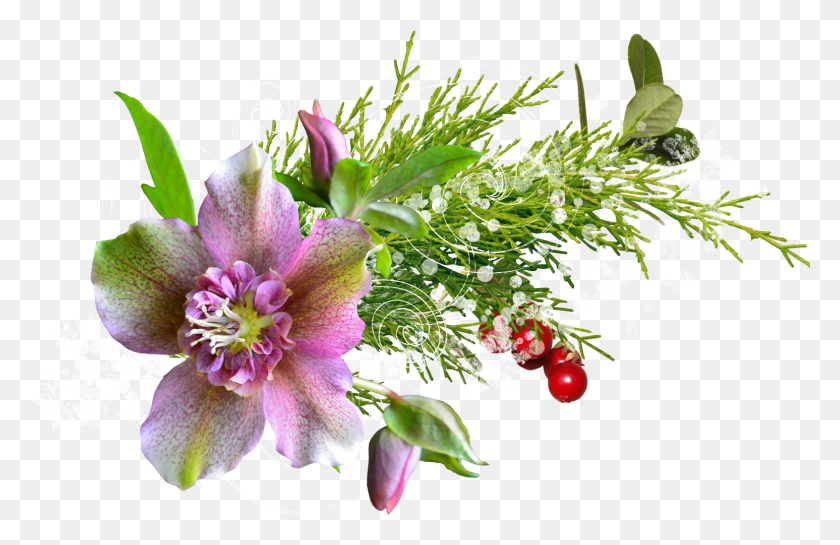 1547x962 Флорес Буэна Calidad Resolucioon Para Flower Tiff, Растение, Цветение, Пыльца Png Скачать