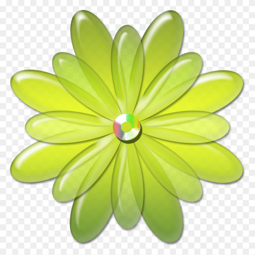 861x863 Flores De Cristal Flores Verdes En, Plant, Daisy, Flower HD PNG Download