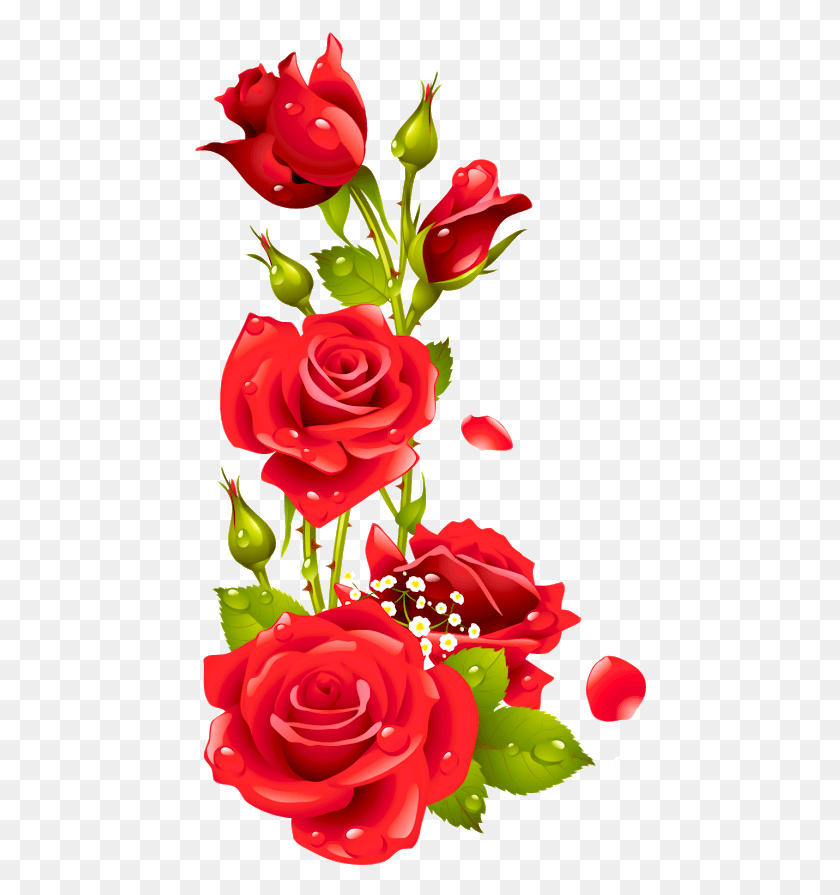 453x835 Flores En Formato Rose Flower Design Border, Rose, Flor, Planta Hd Png