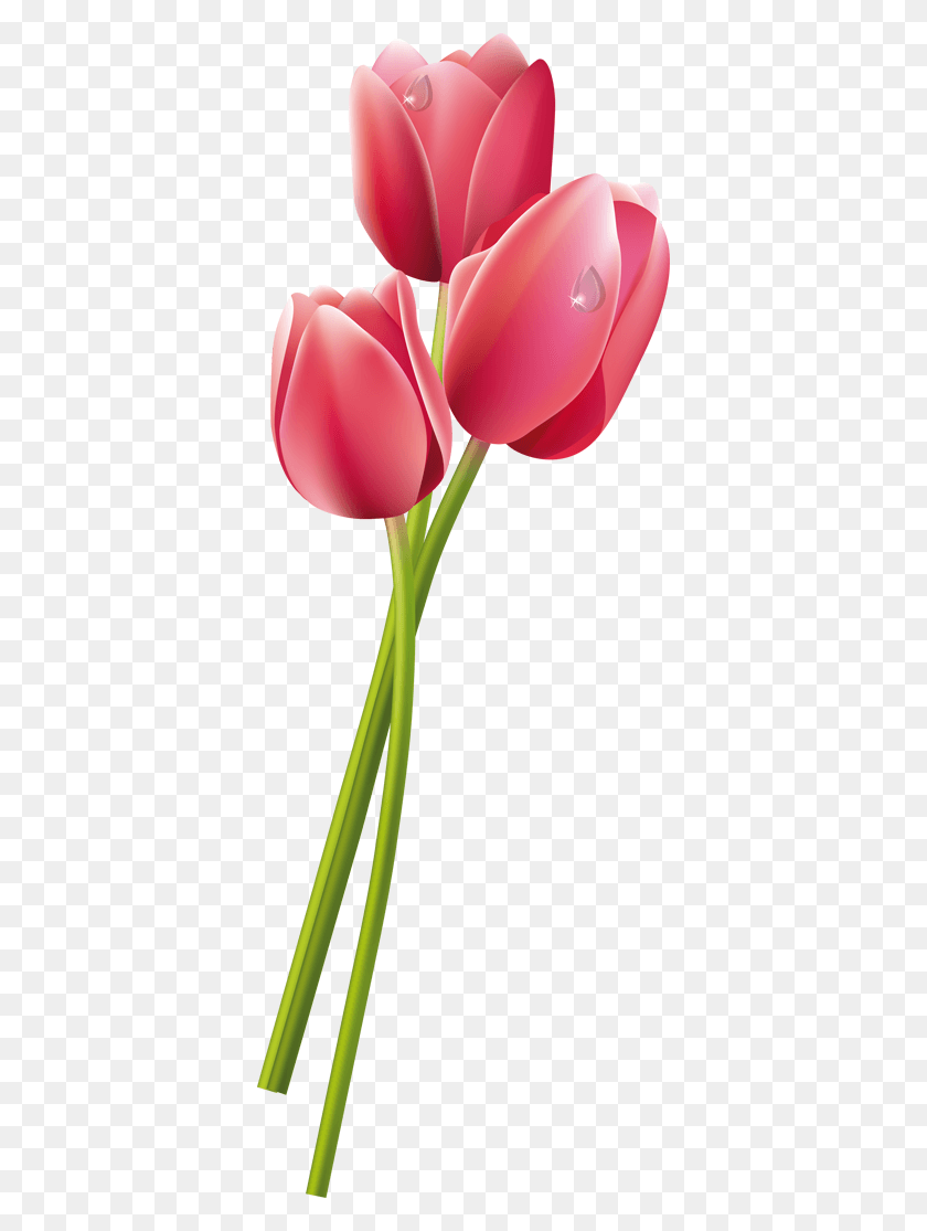 374x1055 Flores Hawaianas Tulips Tattoo Designs, Plant, Tulip, Flower HD PNG Download