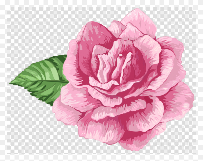 900x700 Flores Rosas Clipart Garden Roses Clip Art, Plant, Flower, Blossom HD PNG Download