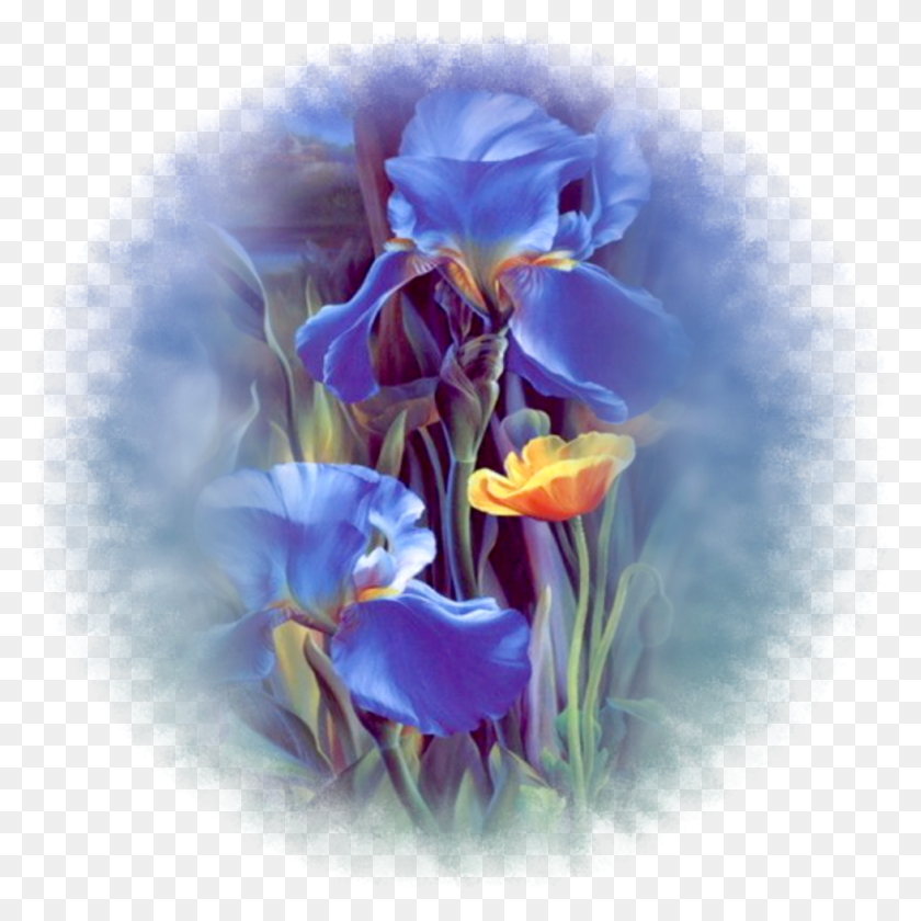 980x980 Flores Vintage 3 Monday Blessings, Plant, Iris, Flower HD PNG Download