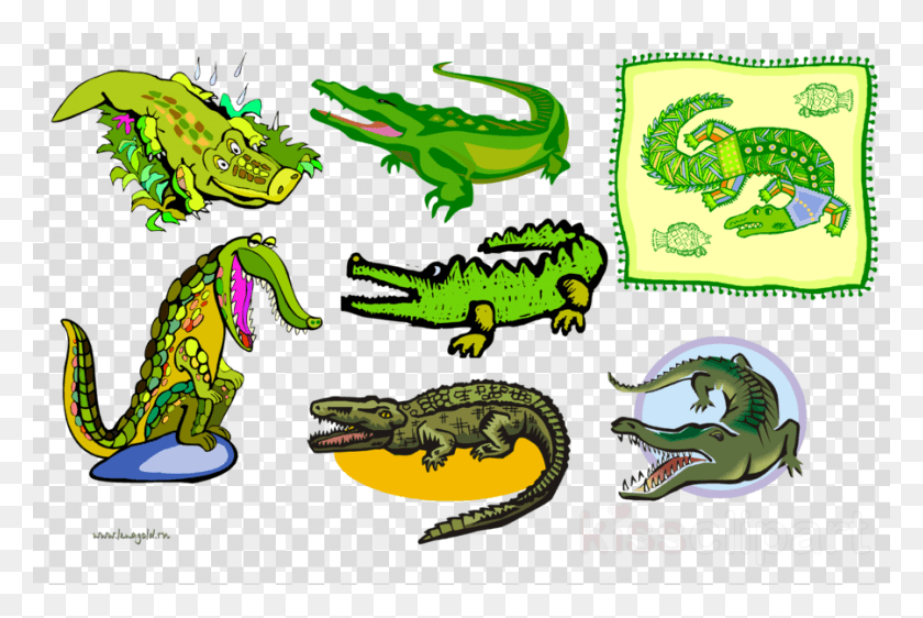 900x580 Флоридский Аллигатор, Животное, Рептилия, Ящерица Png Скачать