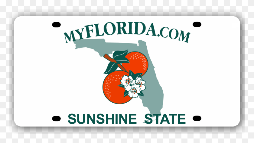 780x415 Florida License Plate Blank Florida License Plate, Text, Plant, Logo HD PNG Download