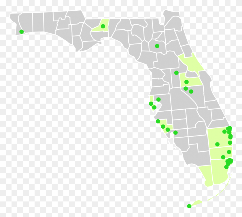 1099x978 La Florida Png Mapa De Ciudades Y Condados Elección De Los Condados De Florida 2016, Diagrama, Atlas Hd Png
