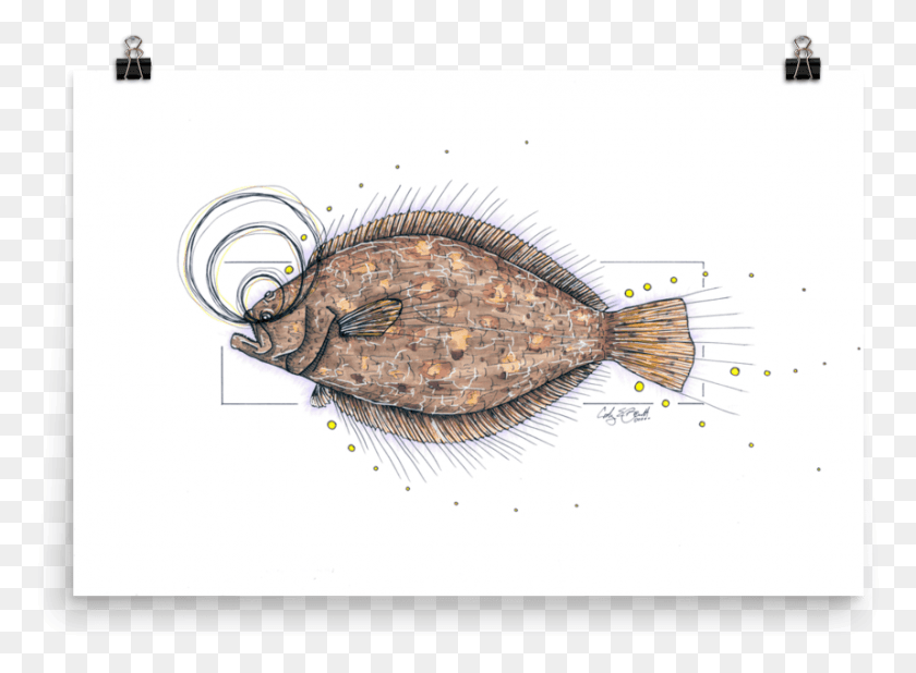859x615 Камбала Плакат Подошва, Палтус, Морская Жизнь, Рыба Png Скачать