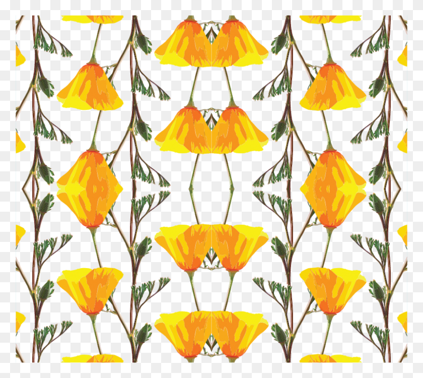 Flower, Leaf, Plant, Blossom HD PNG Download