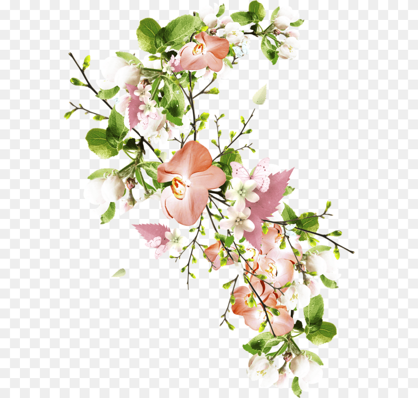 585x800 Flower, Flower Arrangement, Flower Bouquet, Plant, Petal Transparent PNG