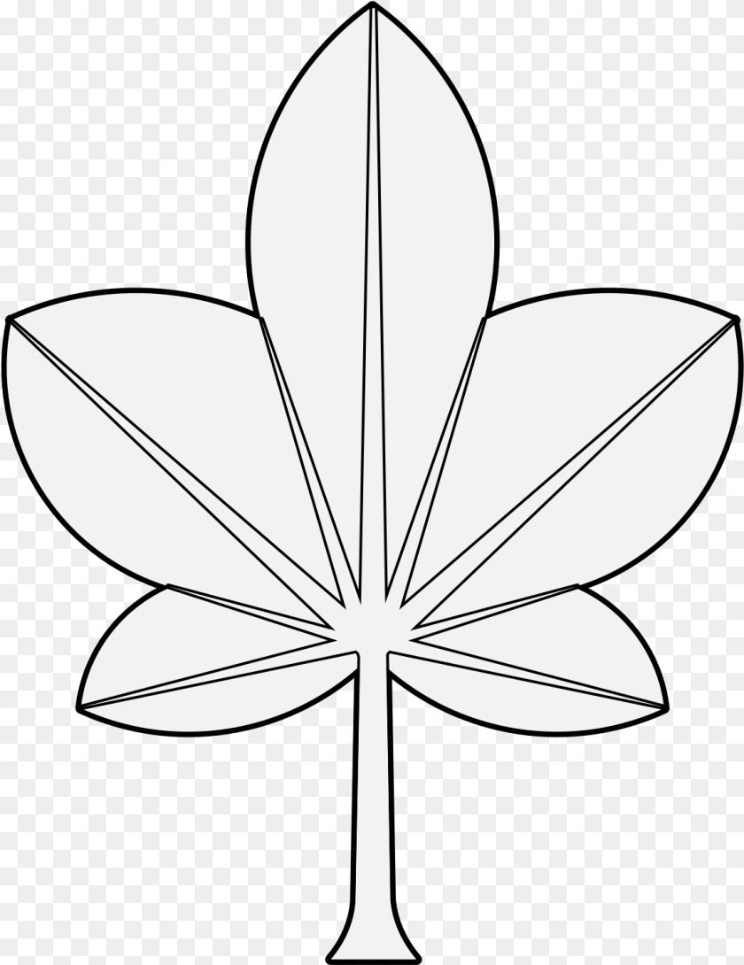 Flower, Leaf, Plant, Stencil, Animal Transparent PNG