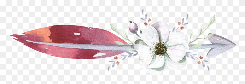 1024x302 Flower Arrow Feather Watercolor Hand Painted Transparent Free Watercolor Feather, Plant, Petal, Blossom HD PNG Download