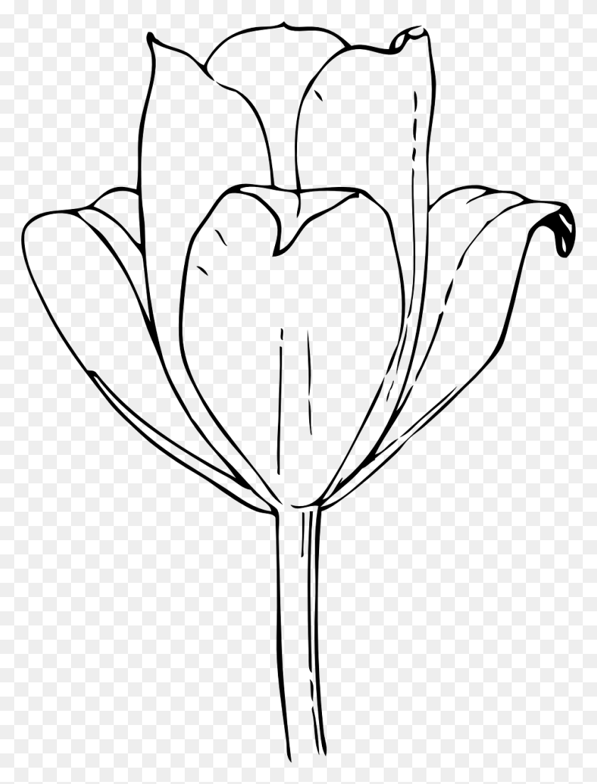 957x1280 Flower Black And White Floral Image Tulip Flower Black And White, Gray, World Of Warcraft HD PNG Download