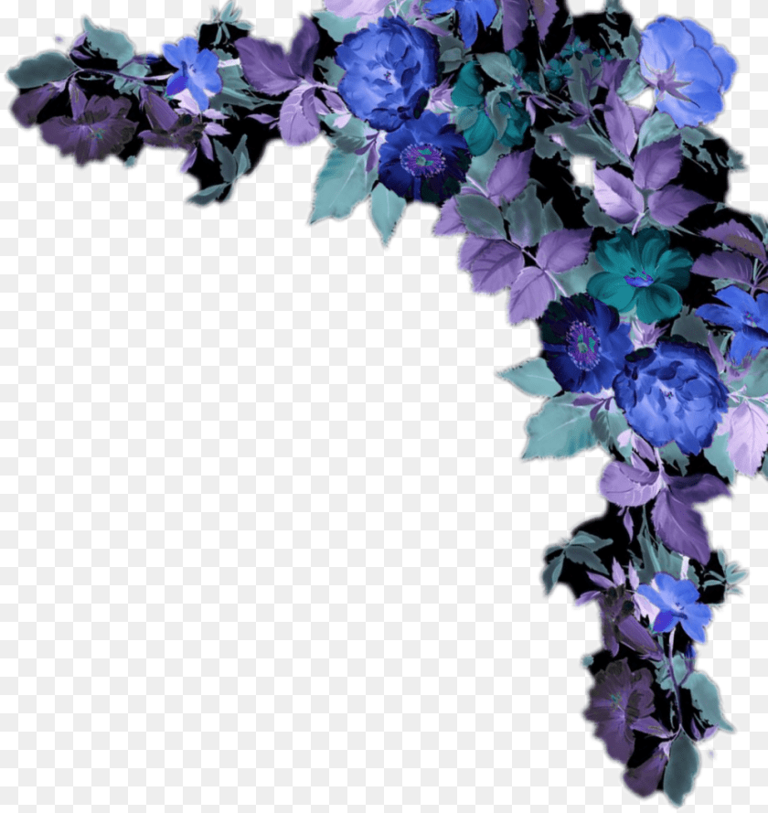 995x1053 Flower Border Artificial Flower, Art, Floral Design, Graphics, Pattern PNG
