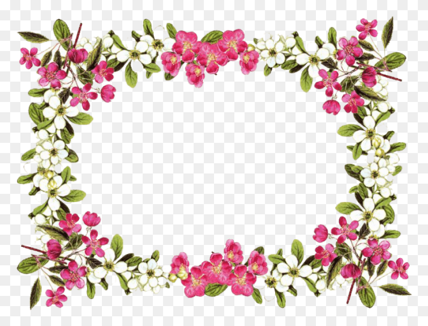 786x584 Цветок Границы Клипарт, Растение, Цветок, Цветение Hd Png Скачать