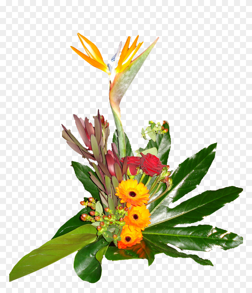 961x1130 Flower Bouquet Gerbera Bird Of Paradise Paradise Flower, Plant, Blossom, Flower Arrangement HD PNG Download