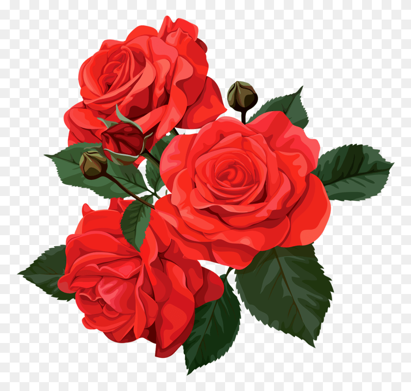 774x738 Букет Цветов Роза Картинки Роза Цветы Арт Клип, Растение, Цветок, Цветение Hd Png Скачать