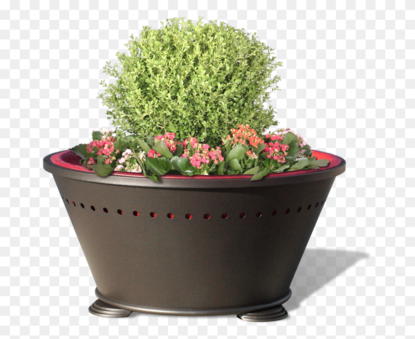669x627 Flower Box Alba Flowerpot, Plant, Vase, Jar HD PNG Download