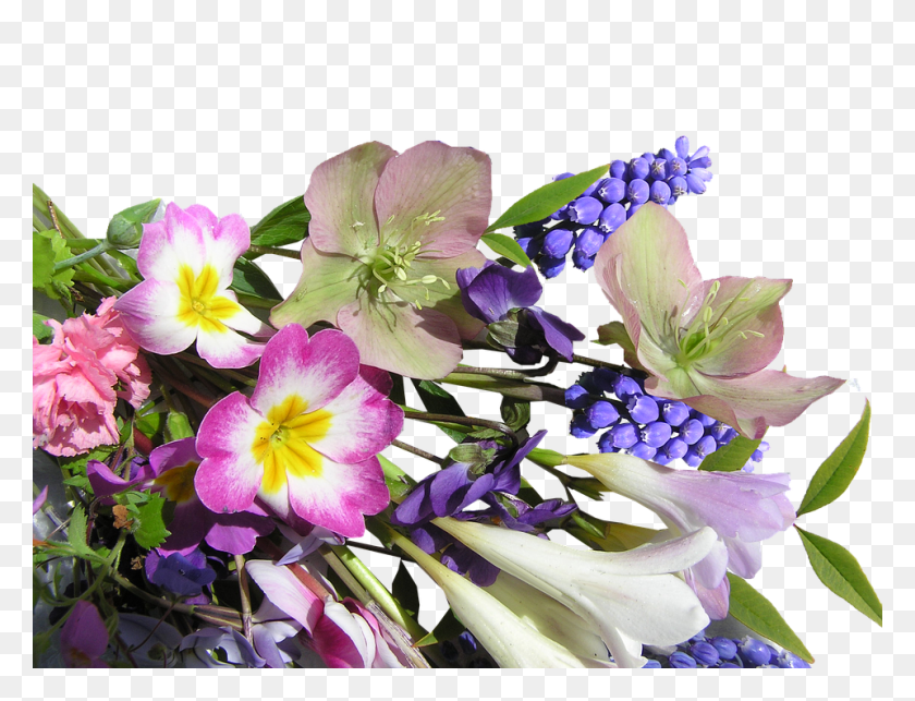 960x718 Flower Bunch Mixed Spring, Plant, Blossom, Flower Bouquet HD PNG Download