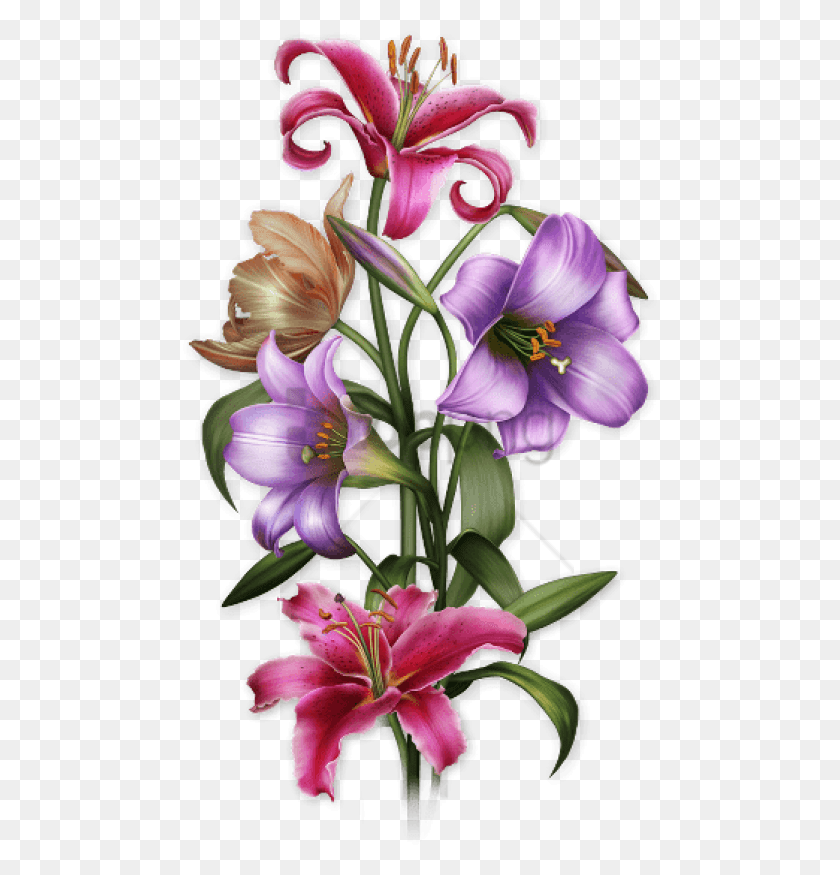 475x815 Flower Butta Image With Transparent Background Flower Butta, Plant, Blossom, Lily HD PNG Download