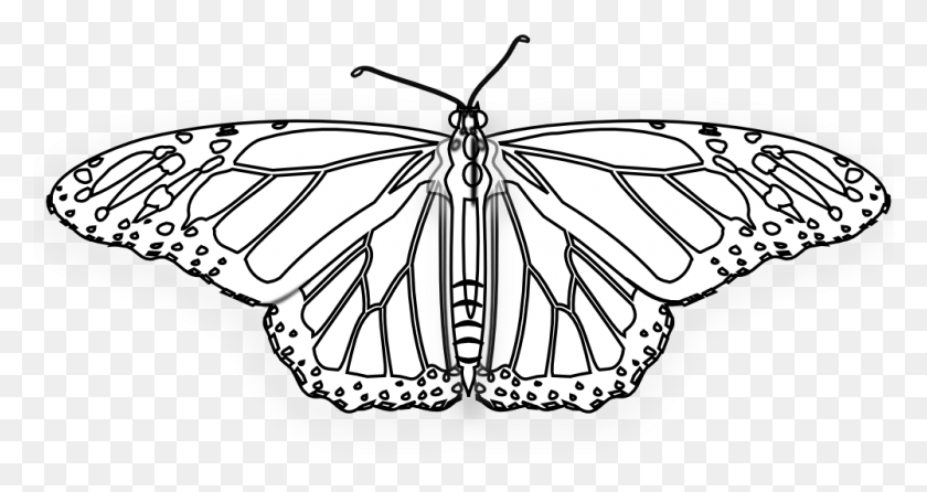 1000x496 Flower Butterfly Butterfly Black White Line Art 999px Papilio Machaon, Insect, Invertebrate, Animal HD PNG Download