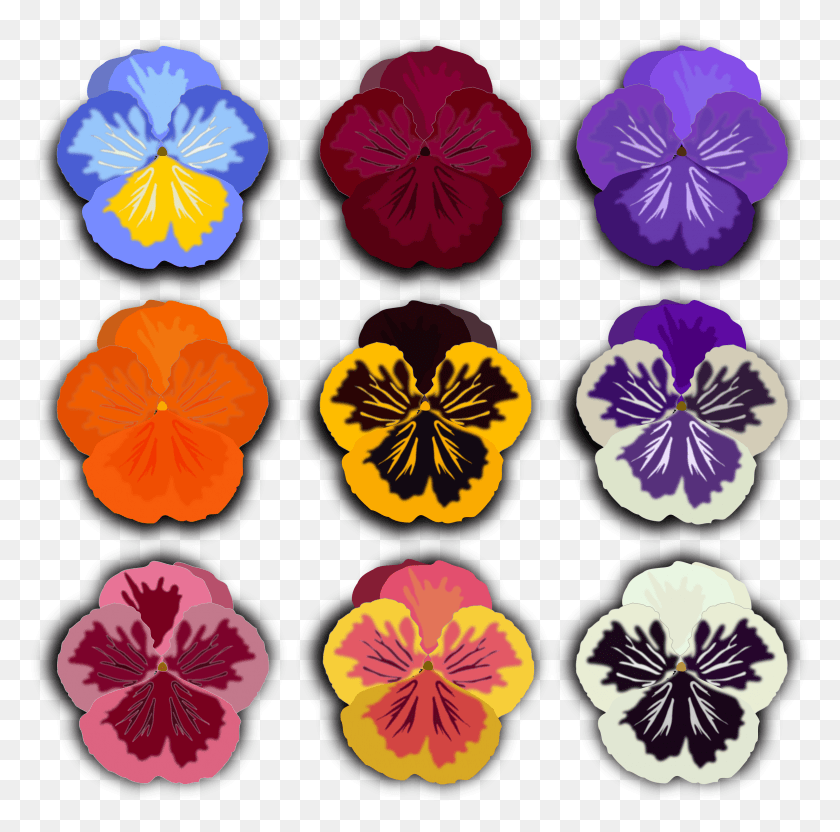 2400x2378 Flower By Jpenrici A Drawing Of Pansy Clip Art, Plant, Blossom, Geranium HD PNG Download