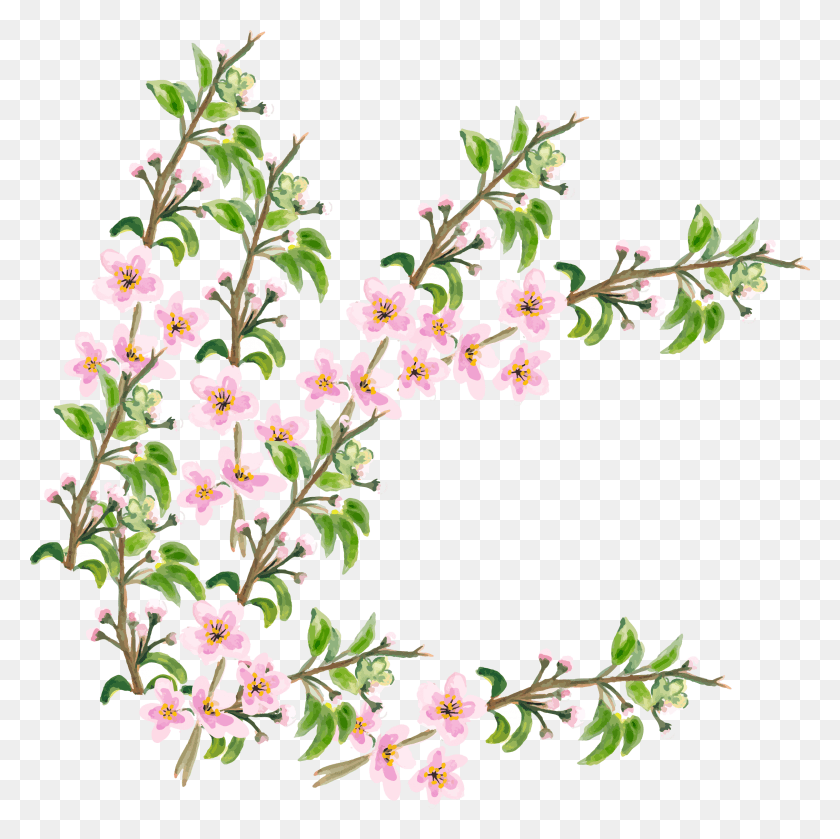 2419x2417 Flower Cherry Blossom Cherry Blossom, Plant, Blossom, Petal HD PNG Download