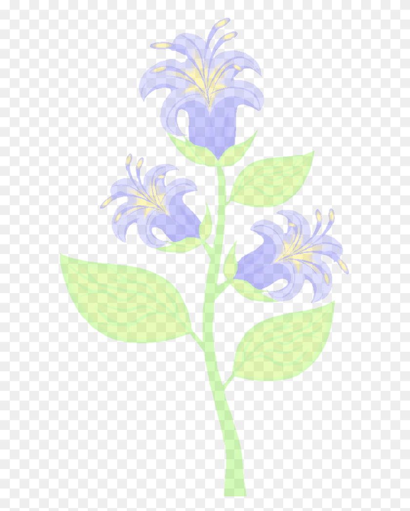 594x986 Flower Cleaning Service Reproductor Masculino De Las Plantas, Iris, Plant, Blossom HD PNG Download