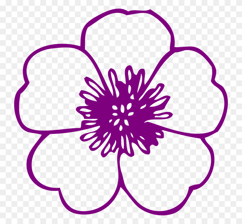 742x720 Flower Clip Art Free, Plant, Purple, Blossom HD PNG Download