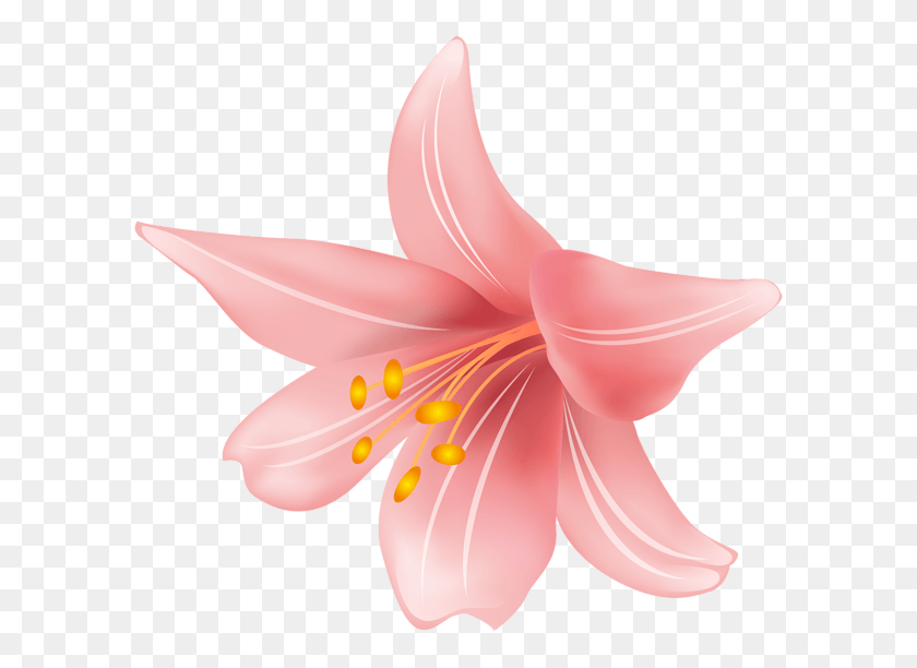 600x552 Цветочный Клип Арт Прозрачное Изображение Тигровая Лилия, Растение, Цветение, Пыльник Png Скачать
