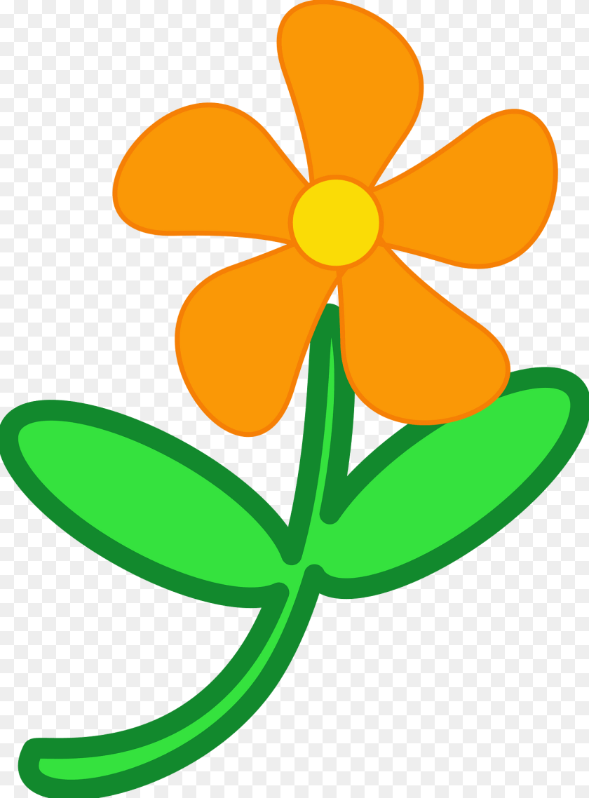 Flower Clipart, Plant, Petal, Daisy, Anther Transparent PNG