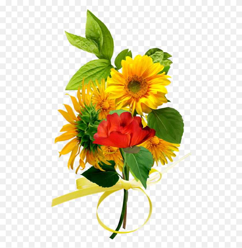 487x801 Flower Clipart Floral Arrangements Clip Art Printables Letnie Cveti, Plant, Graphics HD PNG Download